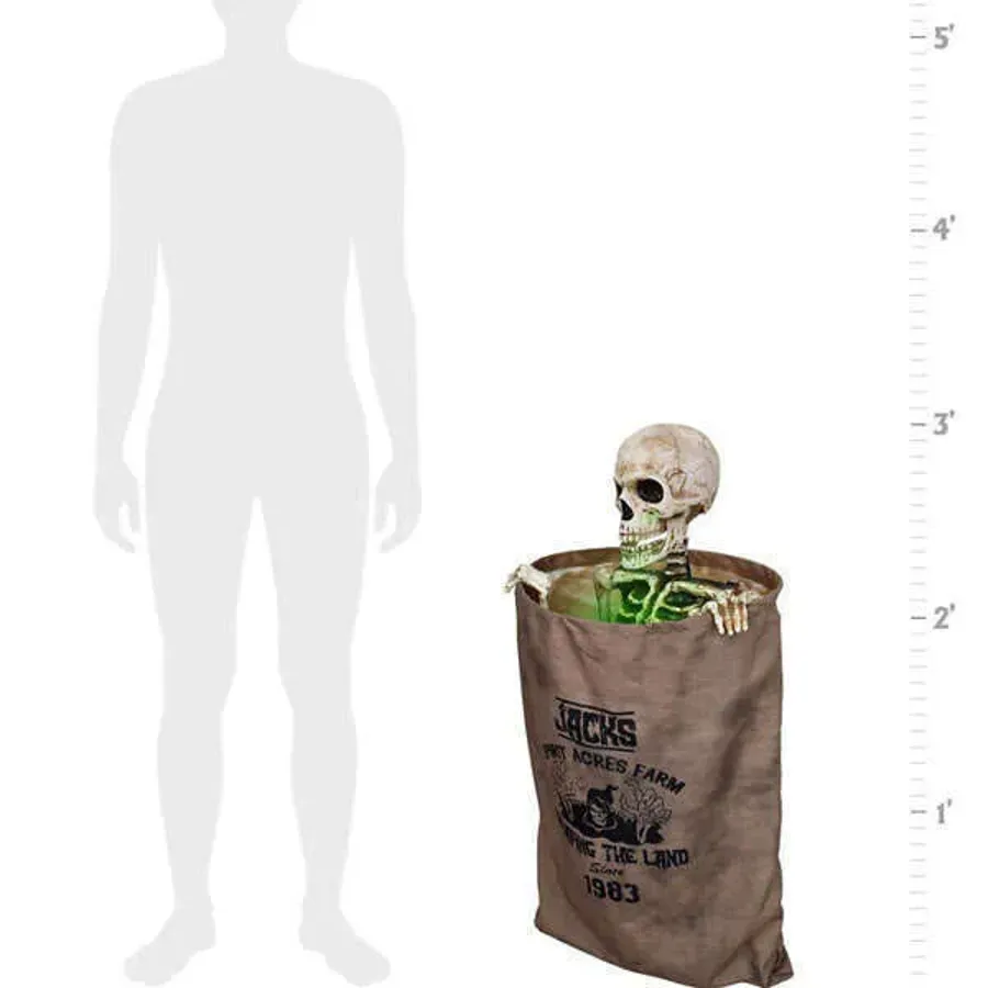 Bag O' Bones Animated